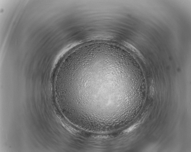 X0000060751027200511171117