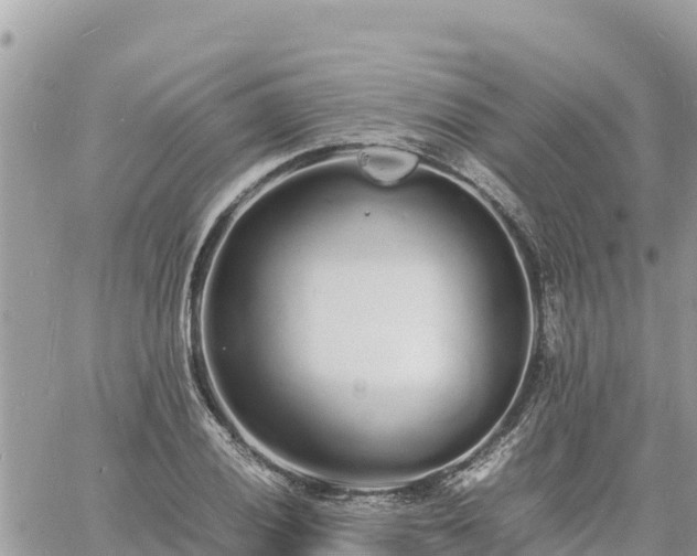 X0000060751028200511171117