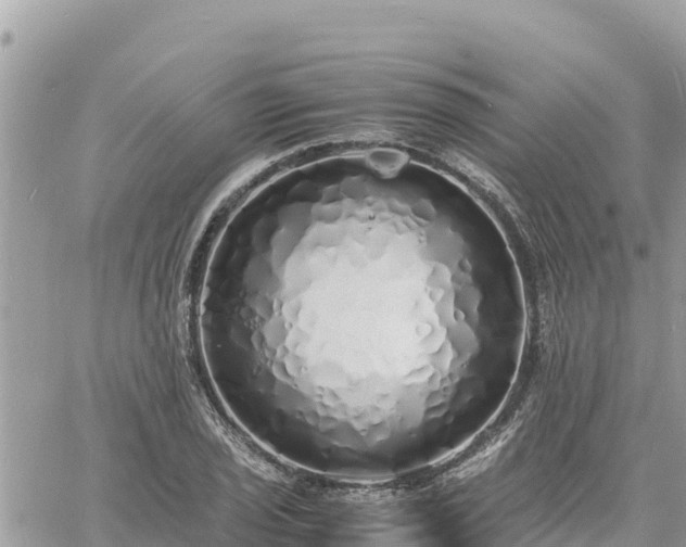 X0000060751029200511171117