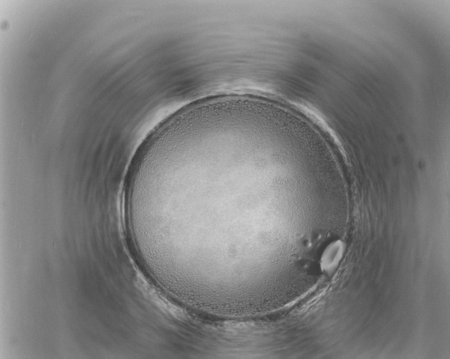 X0000060751032200511171117