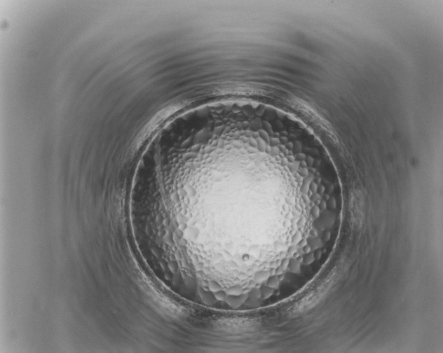 X0000060751033200511171117