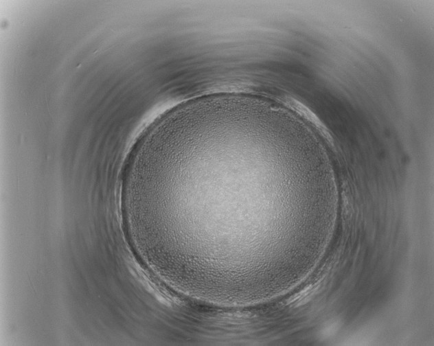 X0000060751035200511171117