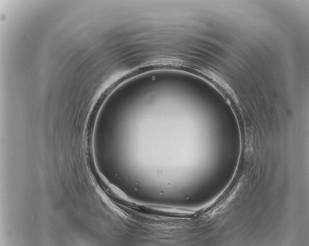 X0000060751037200511171117