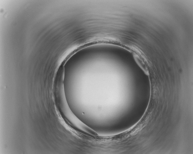 X0000060751038200511171117