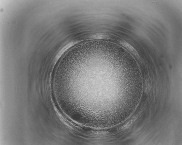 X0000060751039200511171117