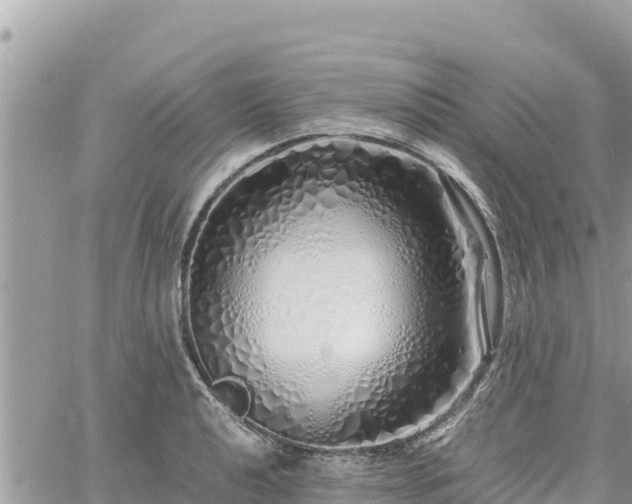 X0000060751040200511171117