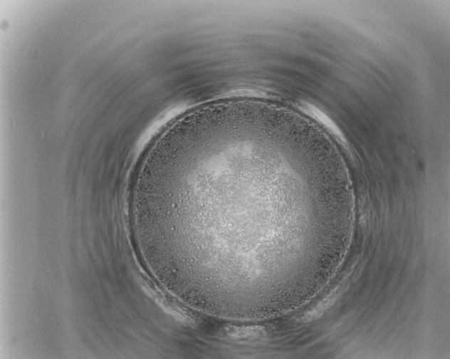 X0000060751043200511171117