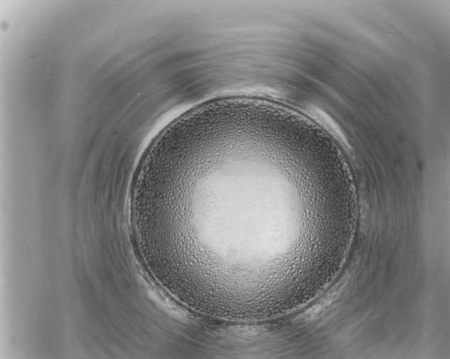 X0000060751044200511171117