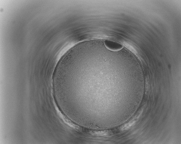 X0000060751047200511171117