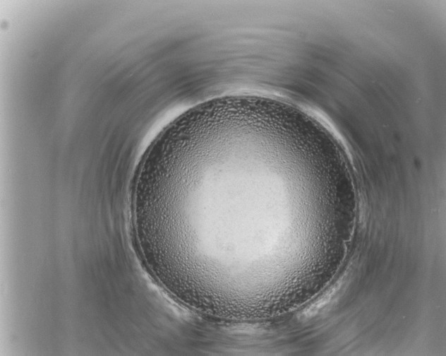 X0000060751048200511171117