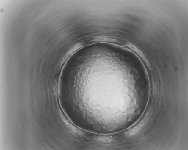 X0000060751049200511171117