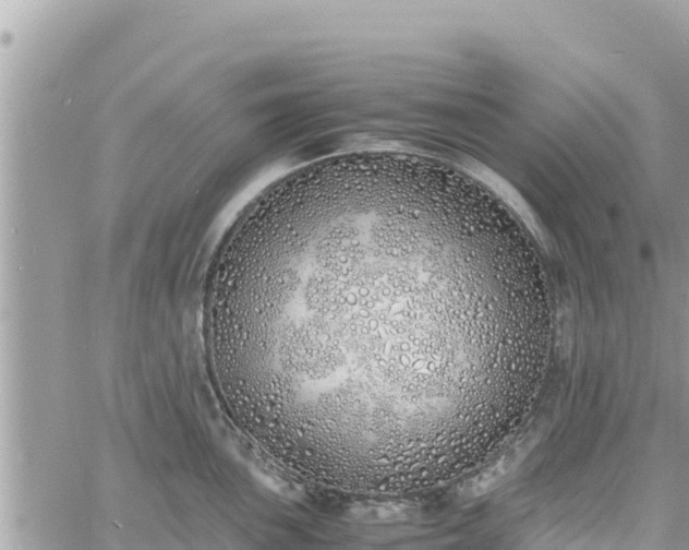 X0000060751051200511171117