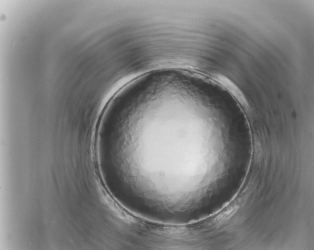 X0000060751052200511171118