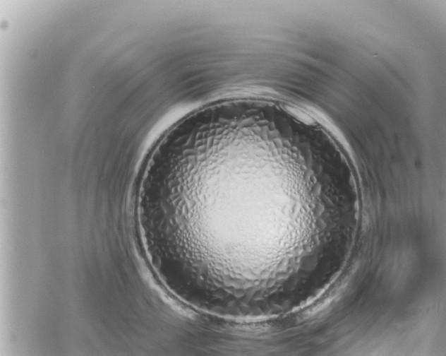 X0000060751053200511171118