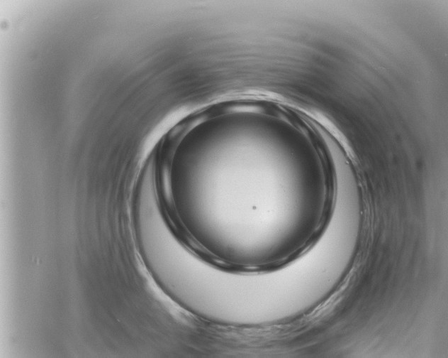 X0000060751054200511171118