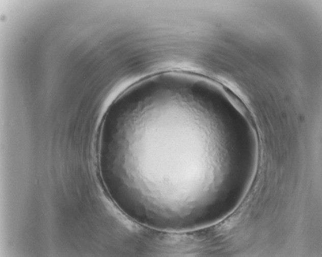 X0000060751056200511171118