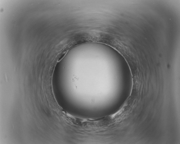 X0000060751057200511171117