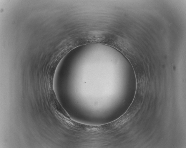 X0000060751058200511171117