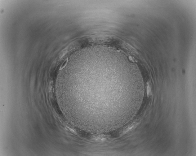 X0000060751059200511171117