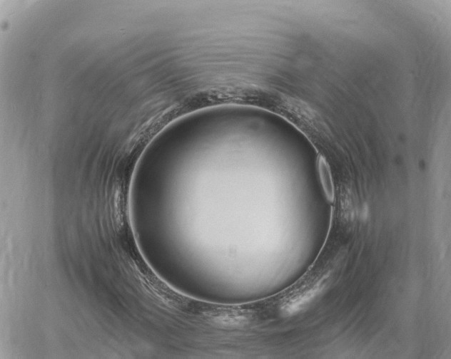 X0000060751060200511171117