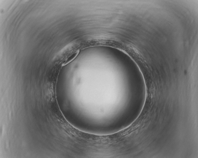 X0000060751062200511171117