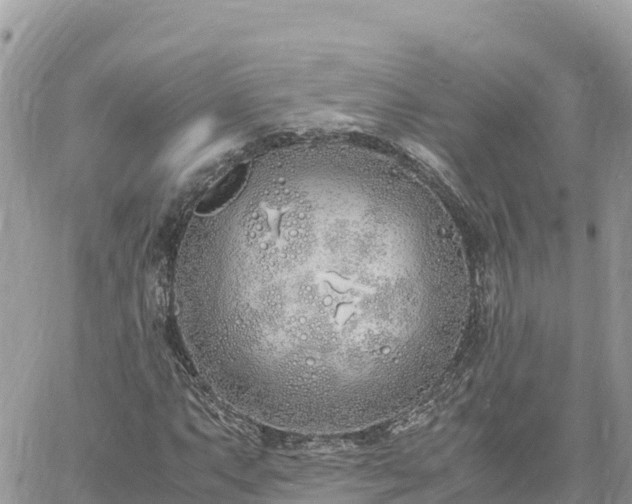 X0000060751063200511171117