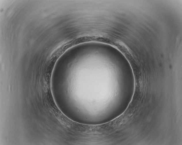 X0000060751064200511171117