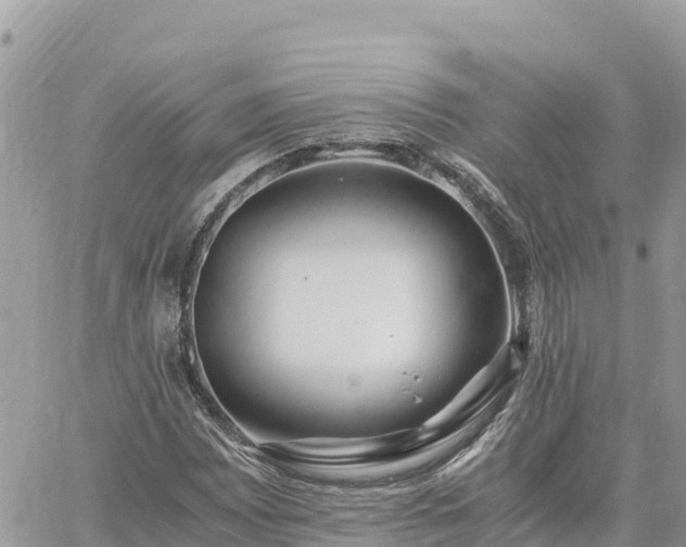 X0000060751065200511171117