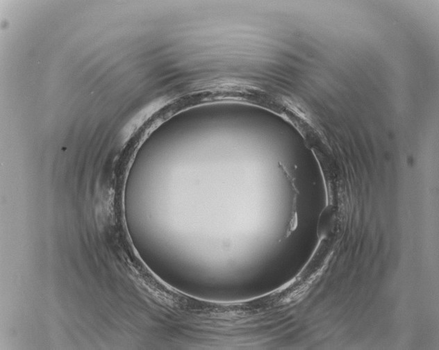 X0000060751066200511171117