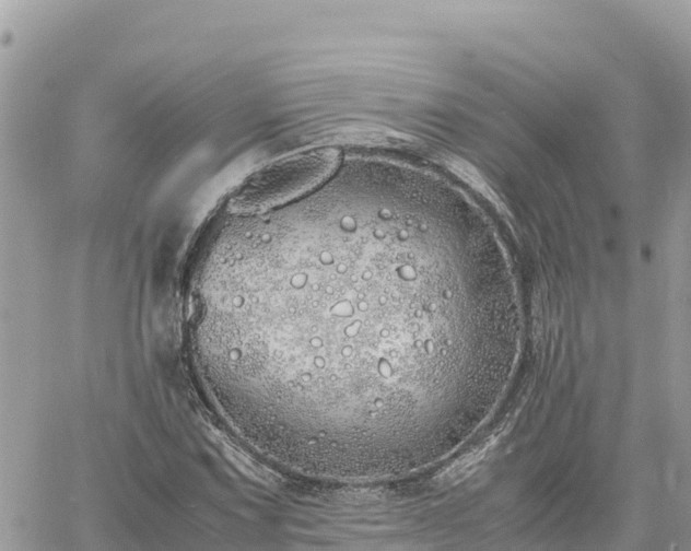 X0000060751067200511171117