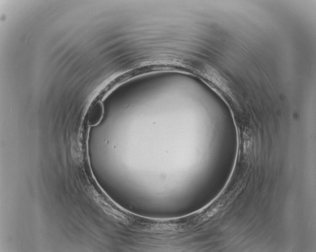 X0000060751068200511171117