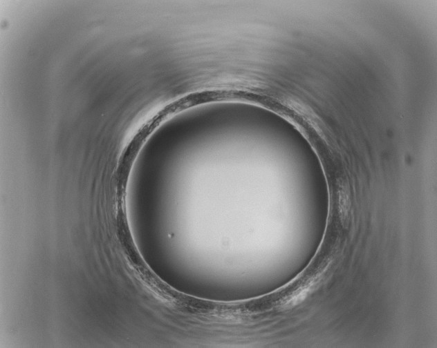 X0000060751069200511171117