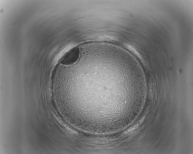 X0000060751071200511171117