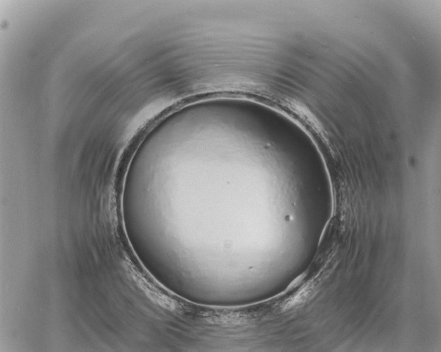 X0000060751072200511171117