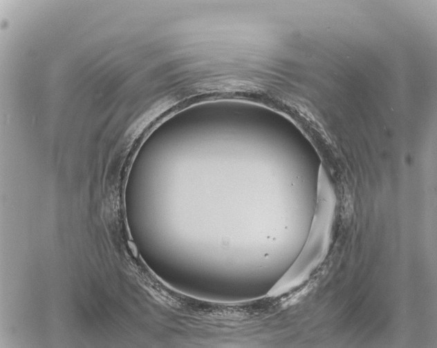 X0000060751073200511171116