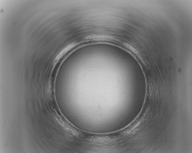 X0000060751074200511171116