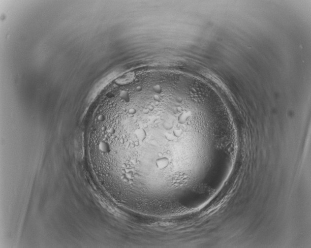 X0000060751075200511171116