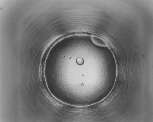 X0000060751076200511171116