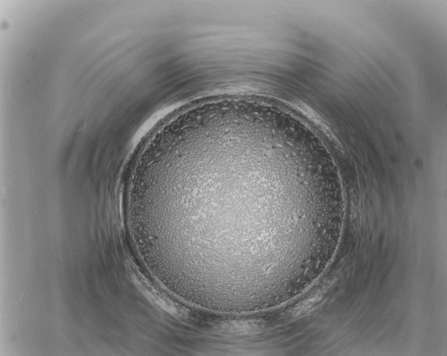 X0000060751078200511171116