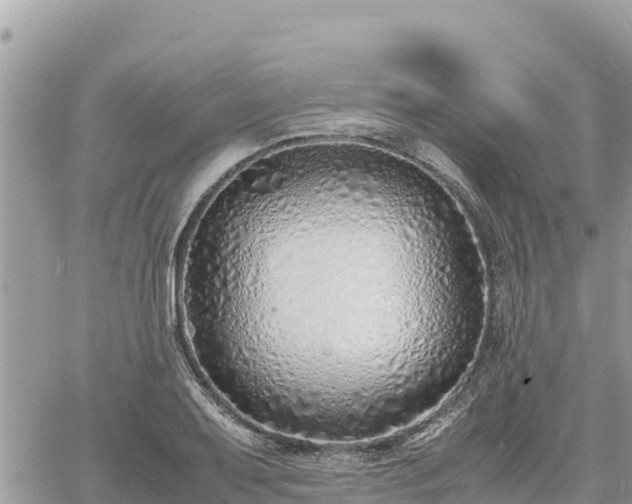 X0000060751079200511171116