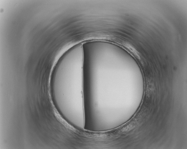 X0000060751080200511171116