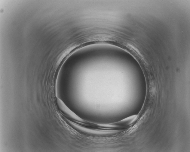 X0000060751081200511171116