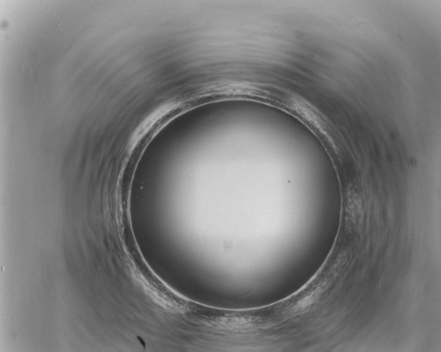 X0000060751082200511171116