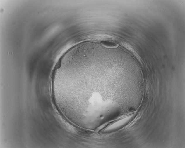 X0000060751083200511171116