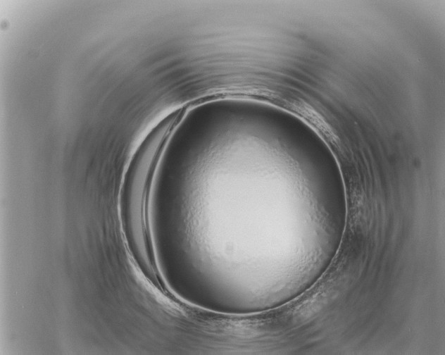 X0000060751084200511171116