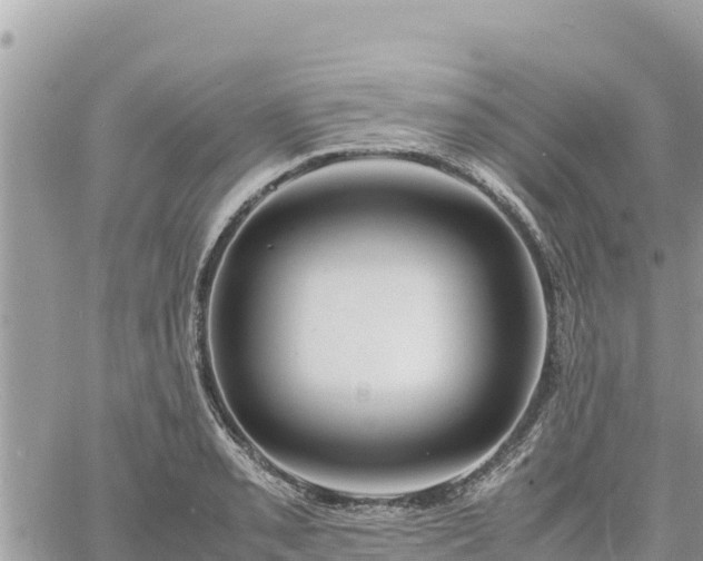 X0000060751085200511171116