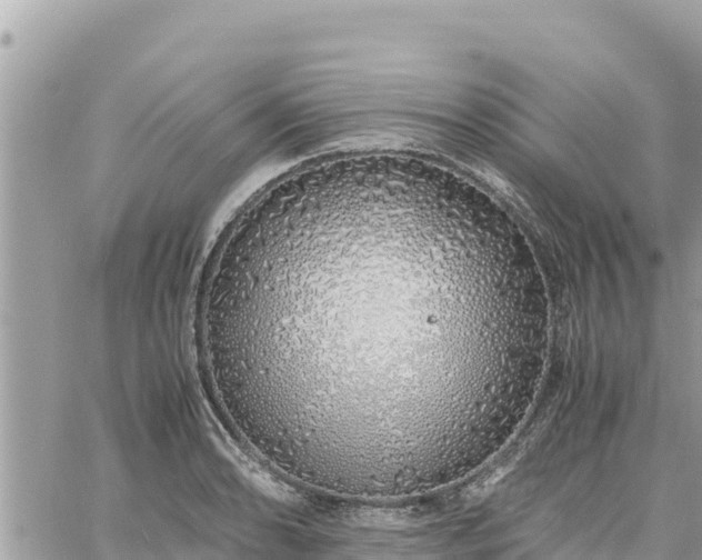 X0000060751086200511171116