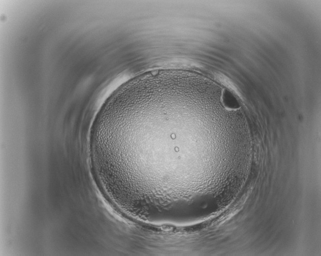 X0000060751087200511171116