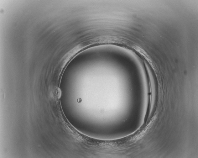 X0000060751089200511171116