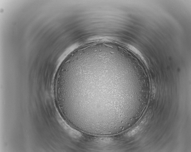 X0000060751090200511171116